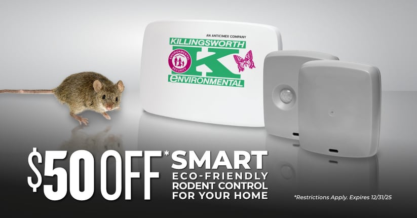 CarolinasSMART-KW-1200X628