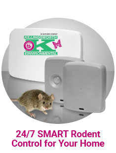 SMART_RODENT_CONTROL_v2